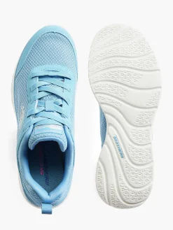 Blue Sole Provider - Brief History