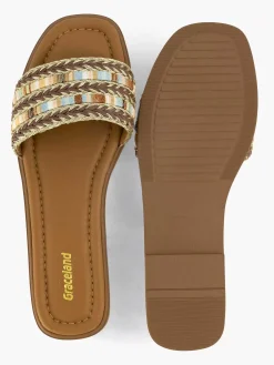 Brown Slipper