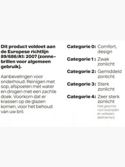 Brown Sunglasses With Leopard Print