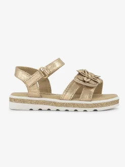 Golden Sandal