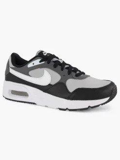 Gray Air Max Sc