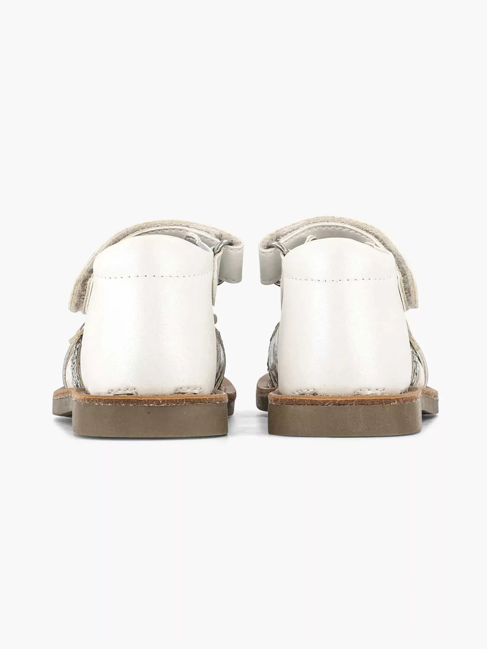 White Sandal Butterflies